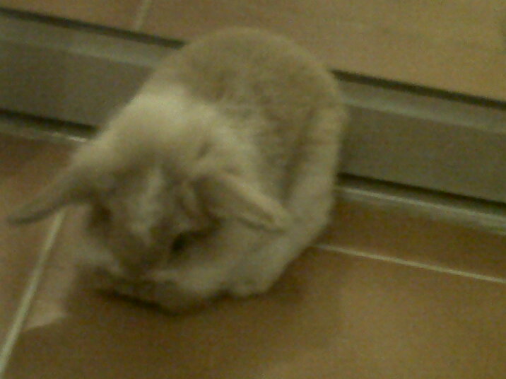 IMG01060-20111008-2004.jpg