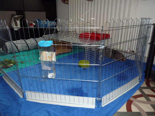 P1020442.JPG