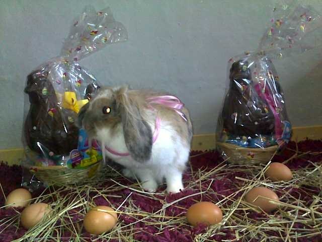 04042012373.jpg