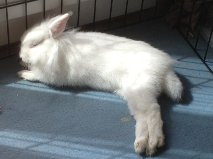 Trop dure la vie !.jpg