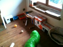 Habitat 1.jpg
