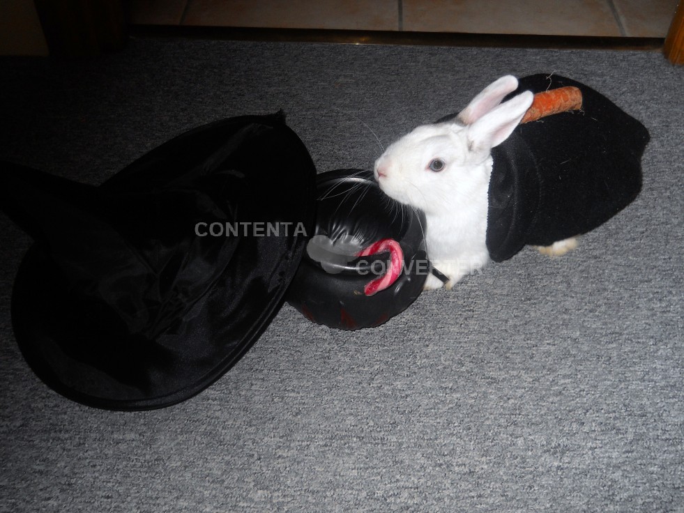 DSCN1730.JPG