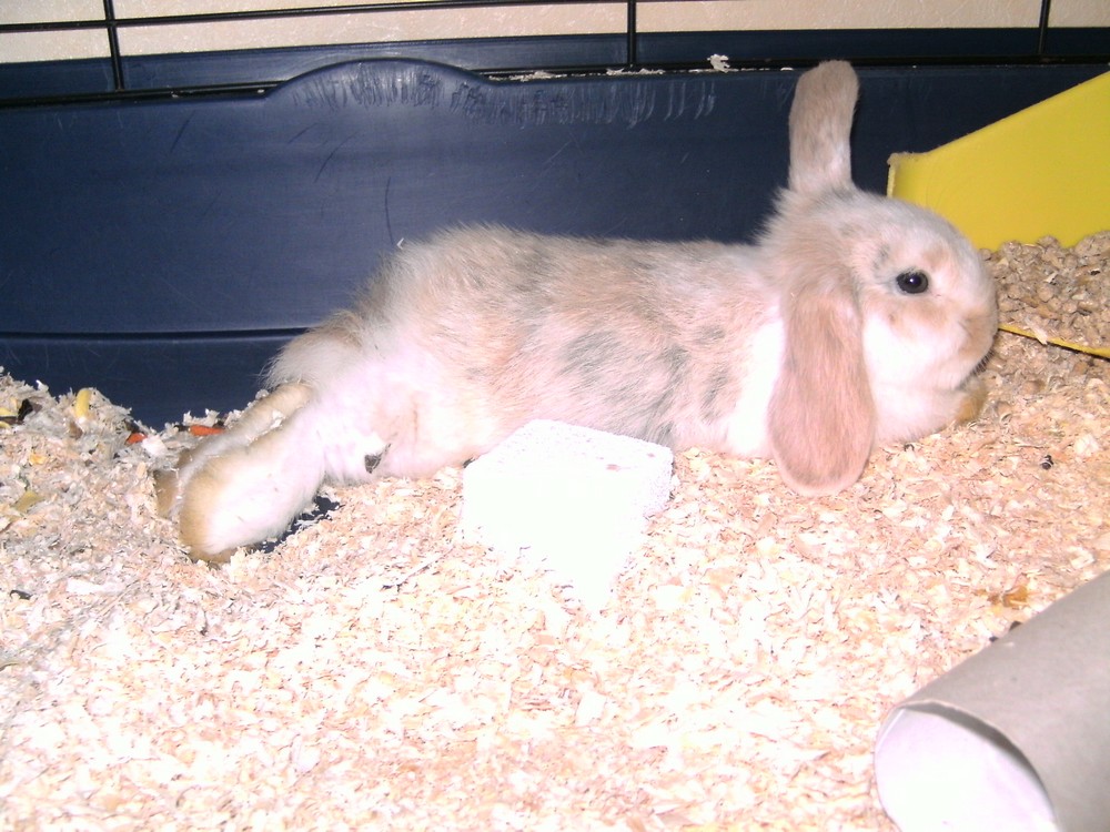 PICT1469.JPG