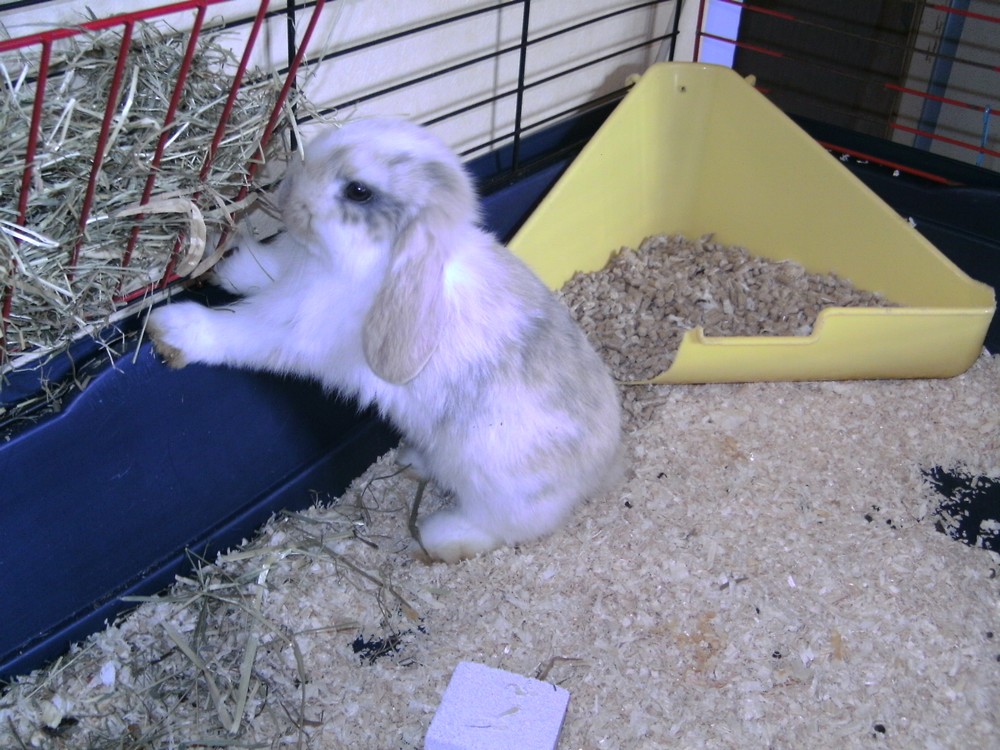 PICT1484.JPG