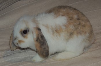 DSCN8729.JPG