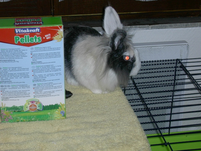 DSCN0906.JPG