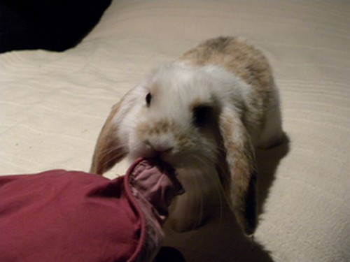 DSCN5968.JPG