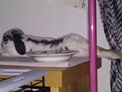 2013-02-06 09.19.03 - Copie 1.jpg