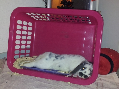 2012-12-10 22.01.06.jpg