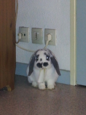 2012-12-18 20.57.46 - Copie.jpg