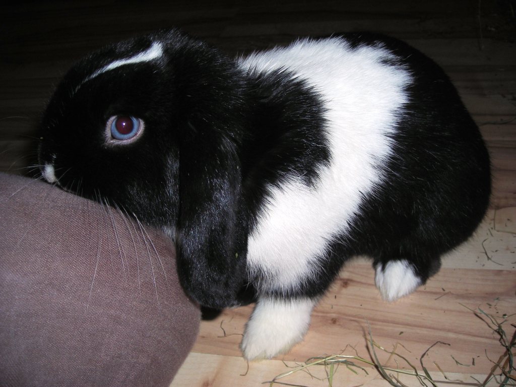 DSCN3587.JPG