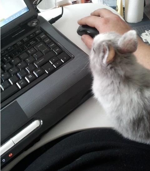 2013-02-20 11.21.23.jpg