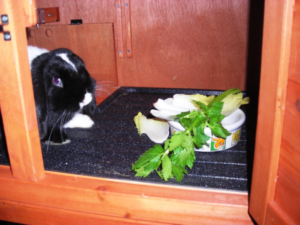 DSCN3676.JPG