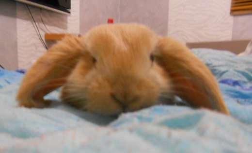 DSCN2253.JPG
