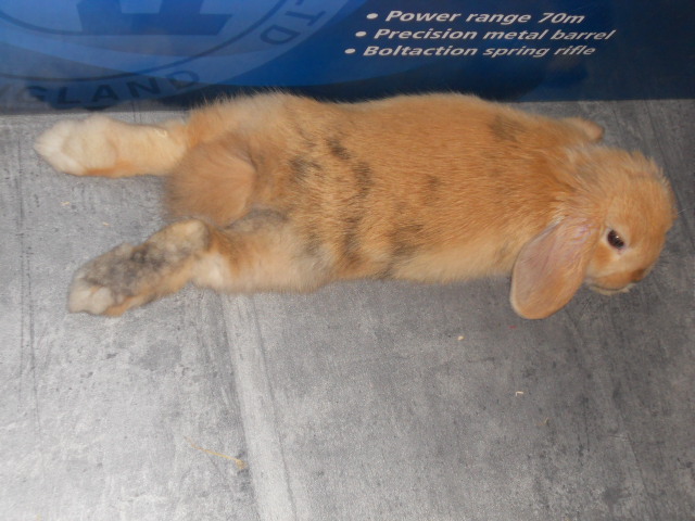 DSCN2285.JPG