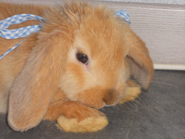 DSCN2383.JPG