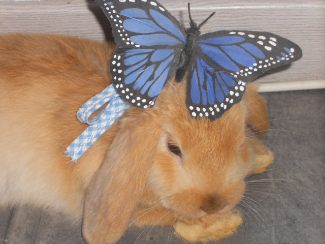 DSCN2385.JPG