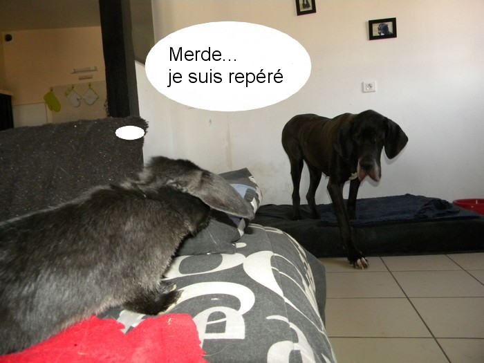 DSCN5570.jpg
