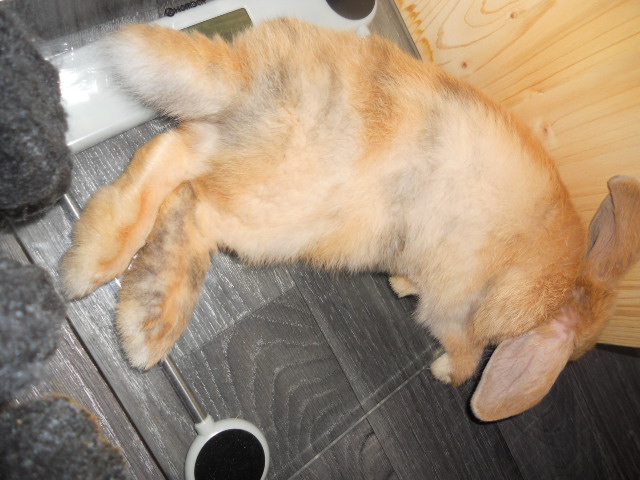 DSCN2569.JPG