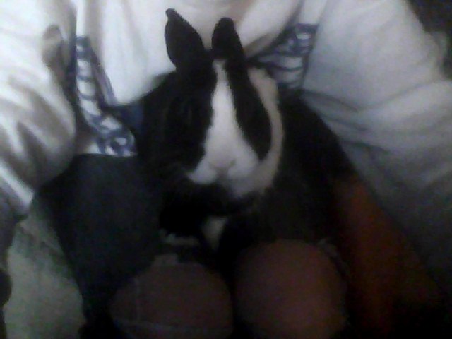 Snapshot_20110807.jpg