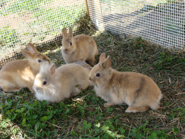 DSC04674.JPG