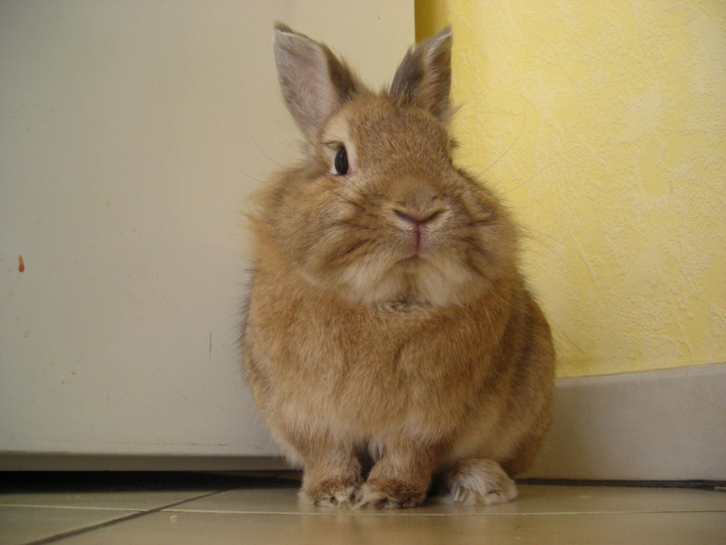 DSCN1316.JPG