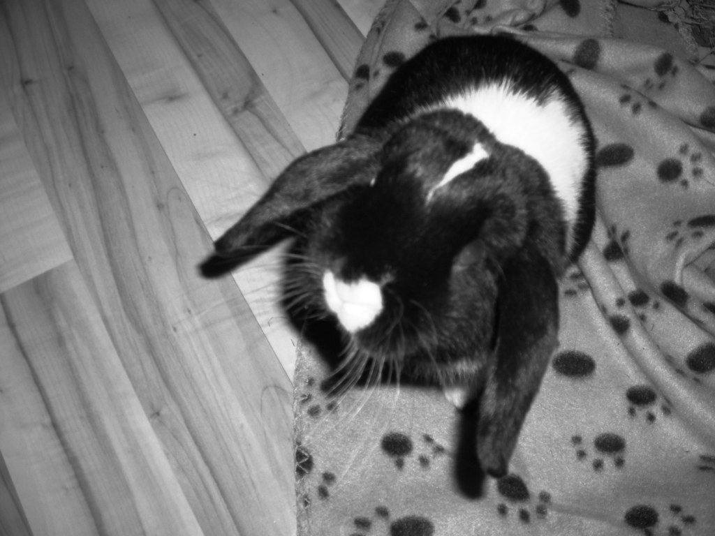 DSCN3866.JPG