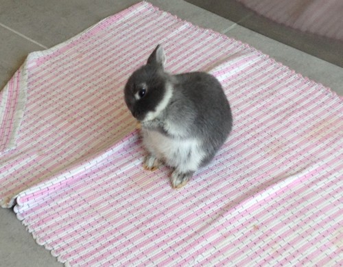 photo (10).JPG