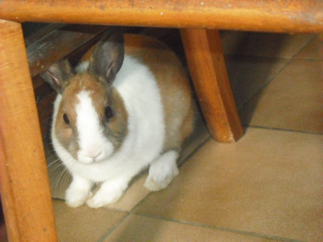 DSCF6799.JPG