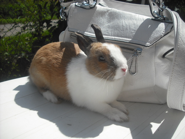 DSCF6572.JPG