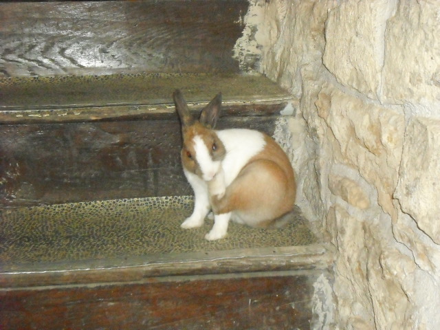 DSCF6794.JPG