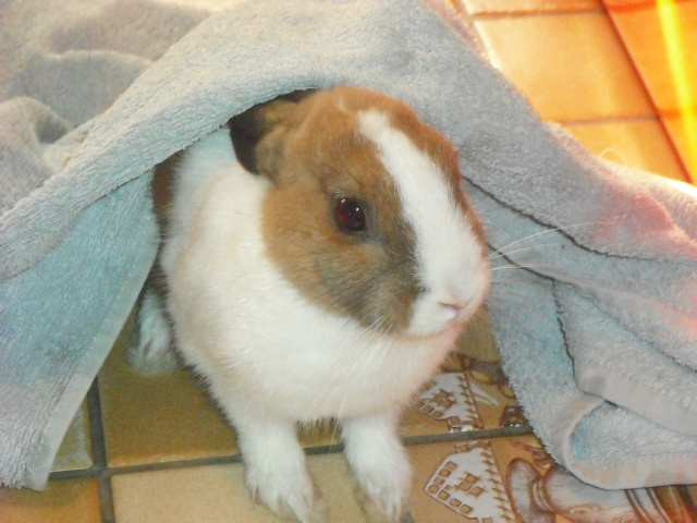 DSCF6943.JPG