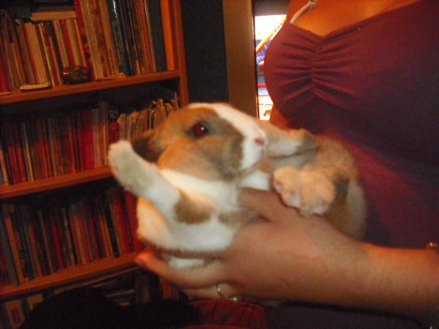 DSCF6963.JPG