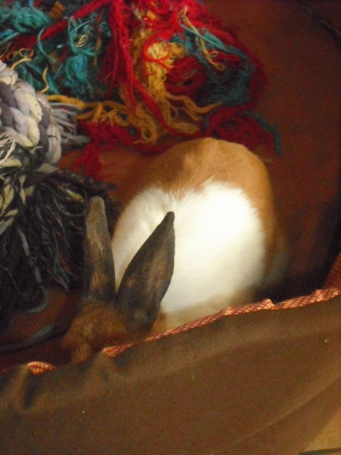 DSCF6905.JPG
