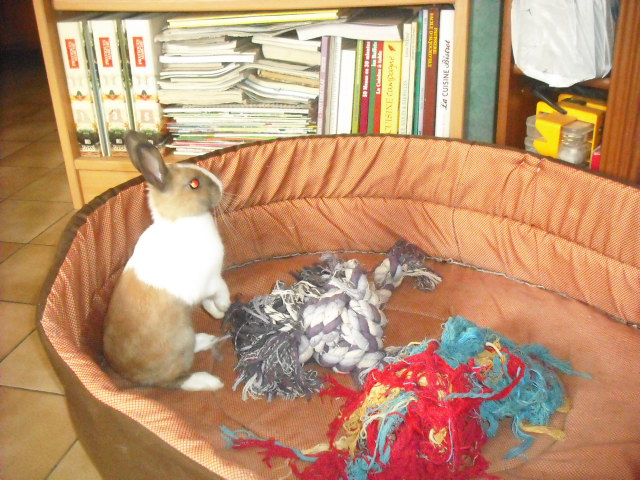 DSCF6890.JPG