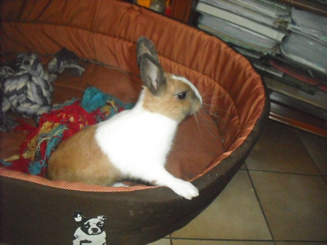 DSCF6891.JPG