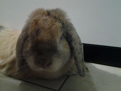 20130929_204347_opt.jpg