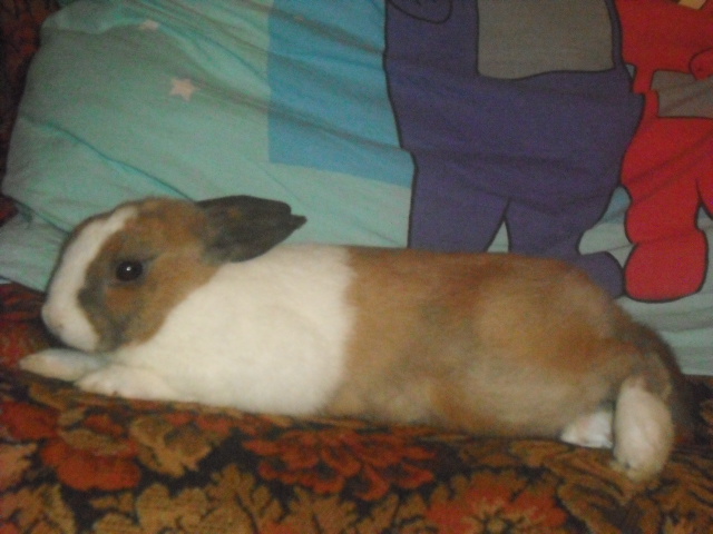 DSCF7032.JPG