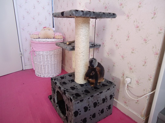 Le cadeau de mon loulou pour ses 2 mois.jpg