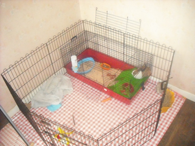 juillet 2011 (24).JPG