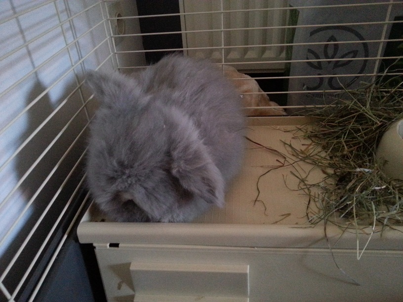 20140414_173243.jpg