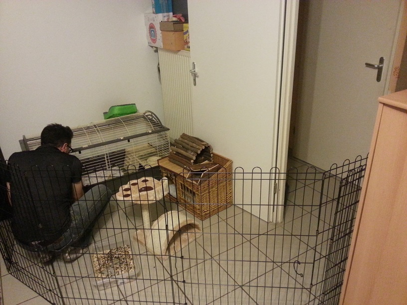 20140416_221413.jpg