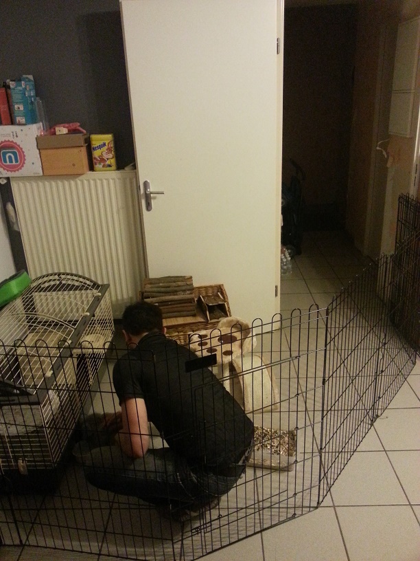 20140416_221423.jpg