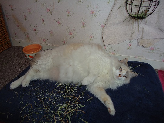 COUCOU.jpg