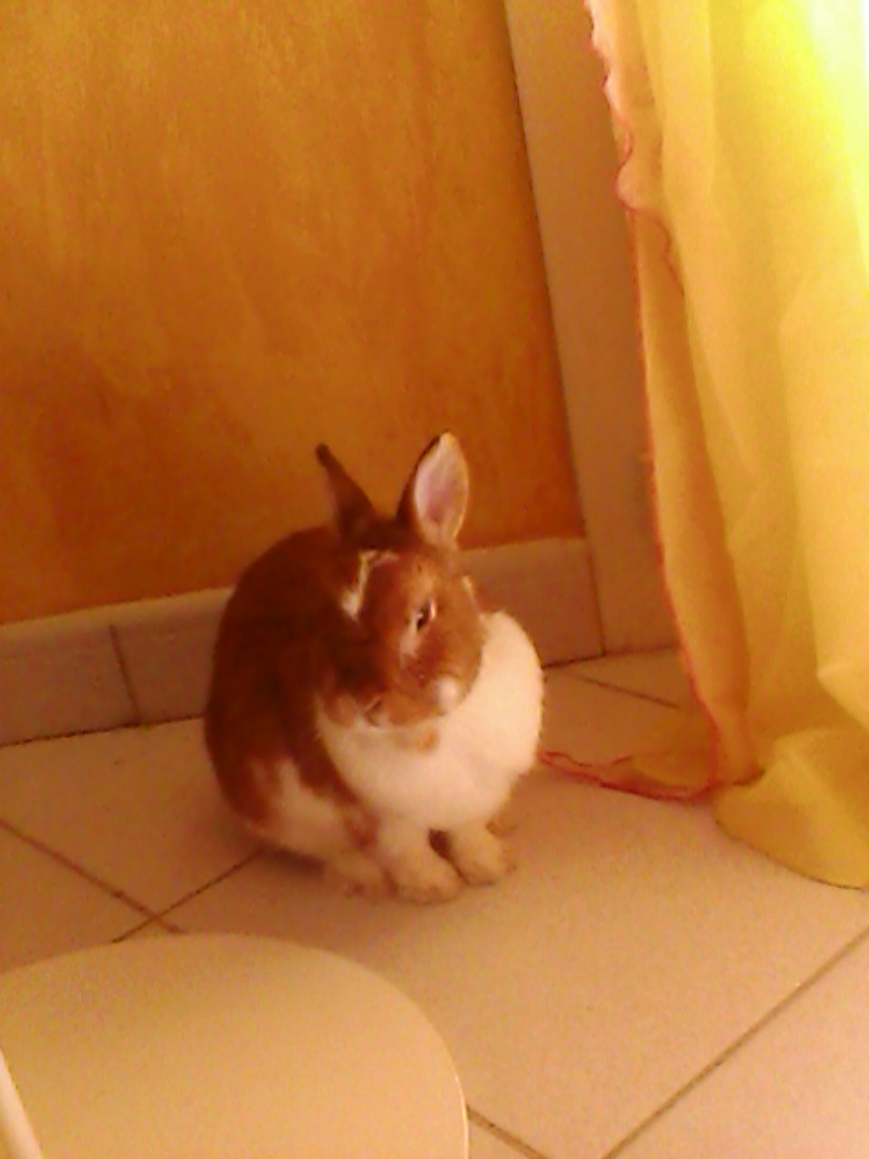 IMG1726A.jpg