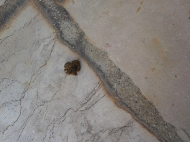 20140531_121336.jpg