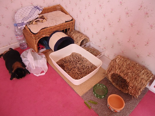 Emplacement loulou.jpg