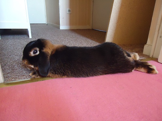 Enfin une petite pose.jpg
