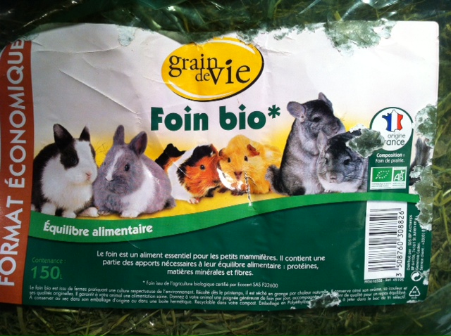 foin.JPG
