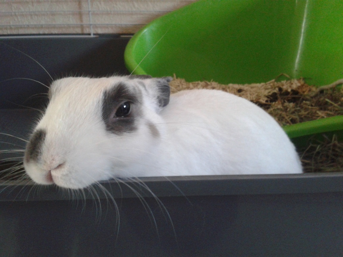 20140916_173636.jpg